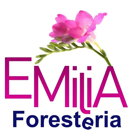 Foresteria Emilia Apartment Grosotto